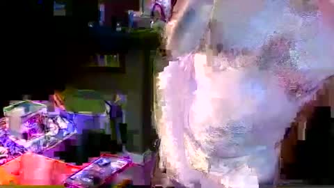 Snapshot of herb60657 chatting on 4, 11, 2025 herb60657 online show from 4, 11, 2025