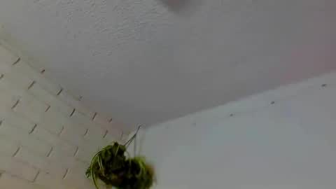 Kiki holestuffer 3000 destroyer of asses miss big balls online show from 8, 10, 2025