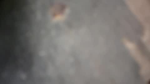 herletigre12345 online show from 18, 10, 2025