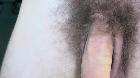 Arnold online show from 17, 11, 2025