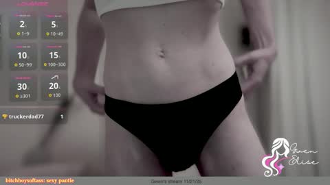 Snapshot of heyyythanks chatting on 26, 11, 2025 Gwen Elise online show from 26, 11, 2025