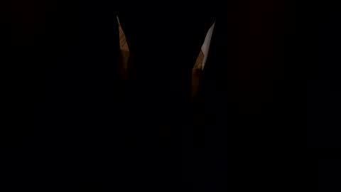 Gwen Elise online show from 1, 2, 2026