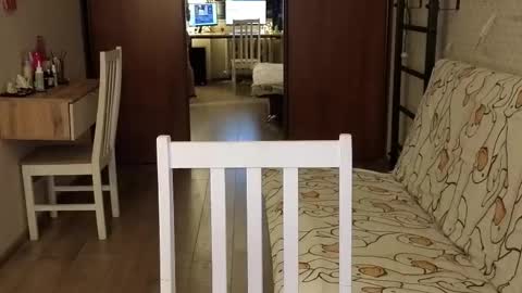 HIHIKA online show from 4, 2, 2026