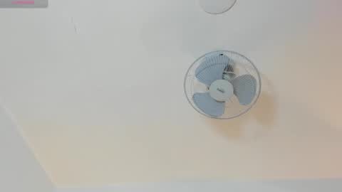 hilary_tailor online show from 16, 1, 2026