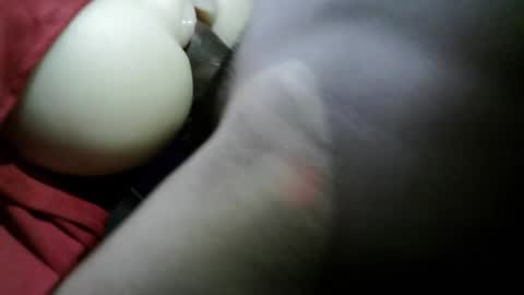 hob xxx online show from 9, 2, 2025