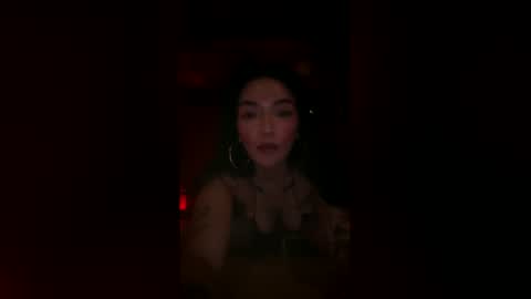 hollymadness online show from 8, 4, 2026