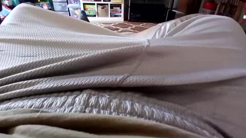 Snapshot of holycannoli123 chatting on 15, 10, 2025 holycannoli123 online show from 15, 10, 2025