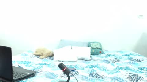 Holycode online show from 2, 2, 2025