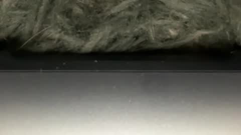 Snapshot of hoodiesahdgoodies chatting on 23, 2, 2026 D online show from 23, 2, 2026