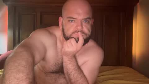 hornazzbear online show from 1, 12, 2025