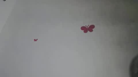 Iris online show from 10, 11, 2025