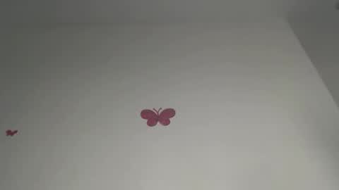 Iris online show from 21, 2, 2026