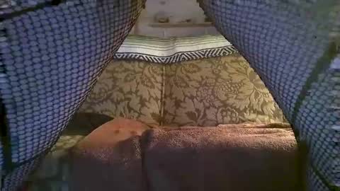 hot2nite22 online show from 10, 2, 2026