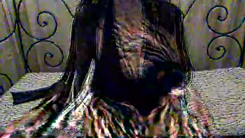 Dina online show from 1, 11, 2025