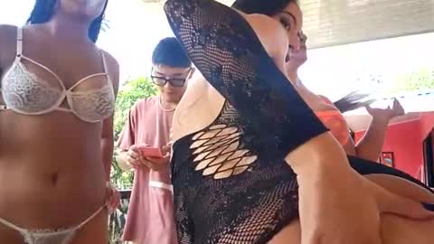 kittens online show from 27, 2, 2026