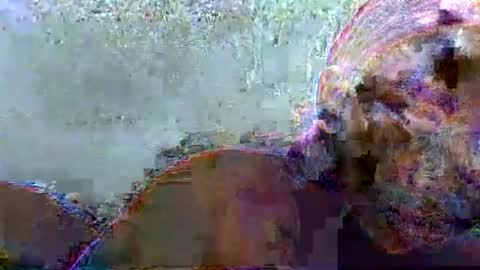 Snapshot of hotagrace chatting on 14, 2, 2026 hotagrace online show from 14, 2, 2026