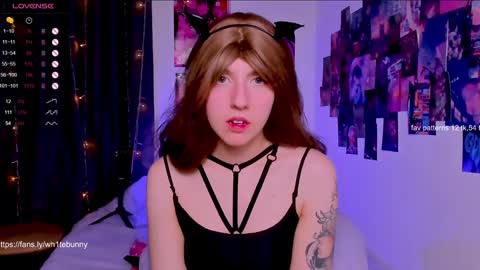  Next stream 28112024 8 GMT 3 online show from 5, 2, 2025