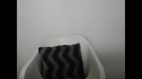 hotjessie0 online show from 16, 1, 2025