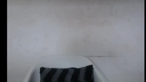 hotjessie0 online show from 7, 10, 2025