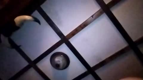 hotloads1992 online show from 10, 1, 2026