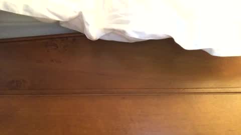 Snapshot of hotmuff99 chatting on 11, 2, 2025 hotmuff99 online show from 11, 2, 2025