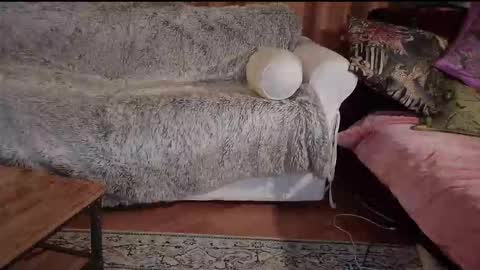 Betty boob online show from 31, 10, 2025