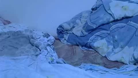 Sexy girl online show from 14, 3, 2026