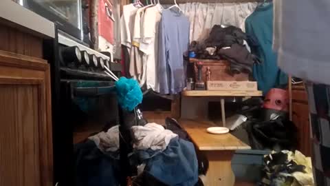 houndmefromhell online show from 2, 12, 2024