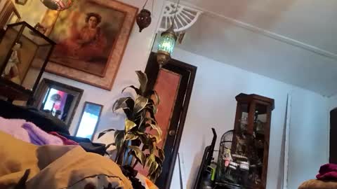 houndmefromhell online show from 5, 3, 2025