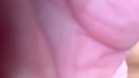 htwnswangn9 online show from 3, 3, 2026