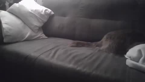 huguit026 online show from 4, 2, 2025