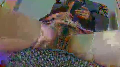 Snapshot of hujiajia520321431 chatting on 10, 11, 2025 hujiajia520321431 online show from 10, 11, 2025