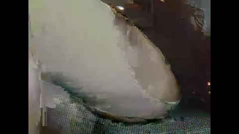 Snapshot of hujiajia520321431 chatting on 19, 11, 2025 hujiajia520321431 online show from 19, 11, 2025