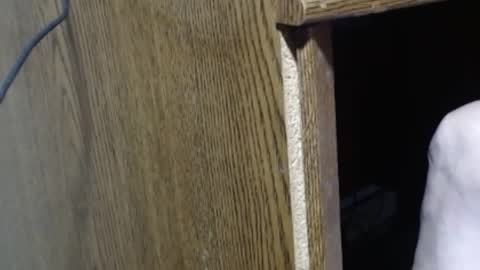 hungsofine online show from 29, 12, 2024