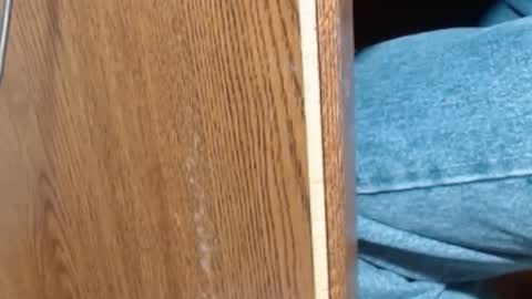 hungsofine online show from 8, 1, 2025