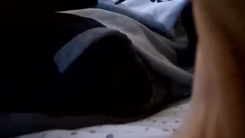 hungukguy777 online show from 24, 11, 2025