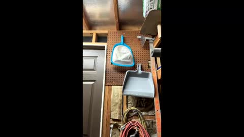 Snapshot of huskey300 chatting on 6, 3, 2026 huskey300 online show from 6, 3, 2026