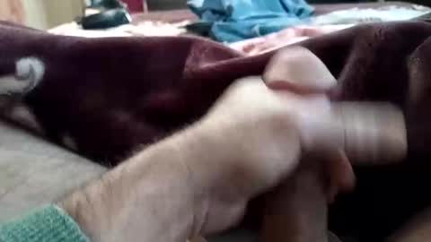 husky1511 online show from 11, 11, 2025