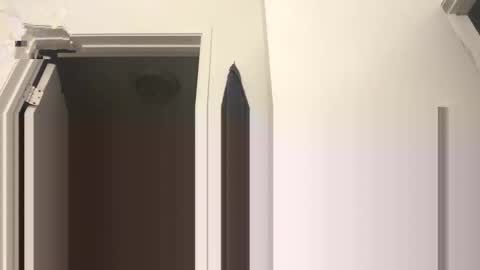 hustlemacc online show from 12, 1, 2026