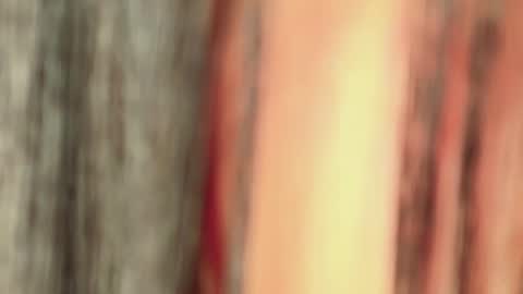 Isa online show from 11, 1, 2026