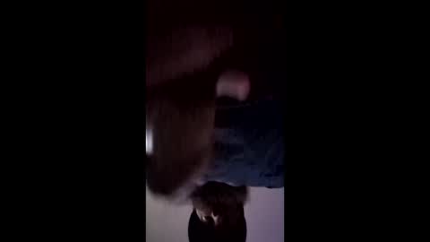 iamchango online show from 14, 3, 2026