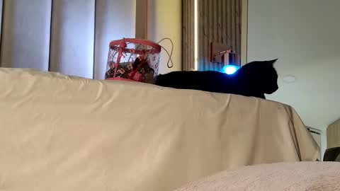 Nyxy online show from 20, 11, 2025