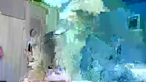 Ian Snake online show from 17, 1, 2026