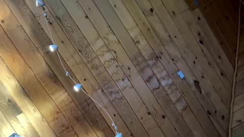 Snapshot of icanmakeyousquirt69 chatting on 17, 3, 2026 icanmakeyousquirt69 online show from 17, 3, 2026