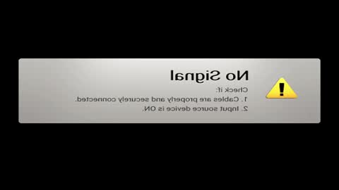 Danielle online show from 5, 12, 2024