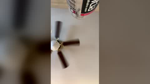 idkk_97 online show from 29, 3, 2026