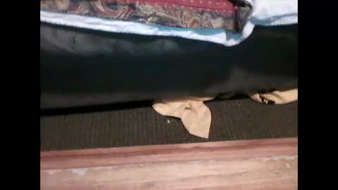 Snapshot of idkwhyidothis348732 chatting on 5, 1, 2025 idkwhyidothis348732 online show from 5, 1, 2025