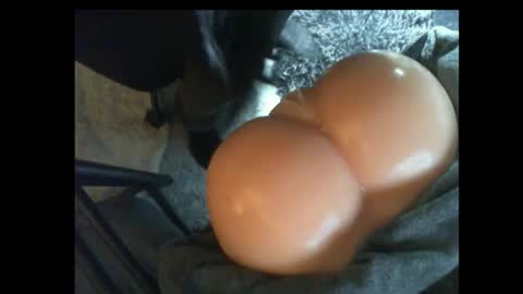 Snapshot of ilikesexyladys chatting on 9, 3, 2025 ilikesexyLadys online show from 9, 3, 2025