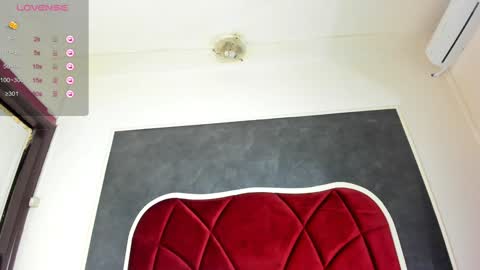 illegal_lorry online show from 17, 1, 2025