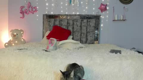 Letty online show from 24, 2, 2025